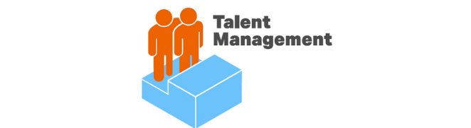 implementation tips for talent management system